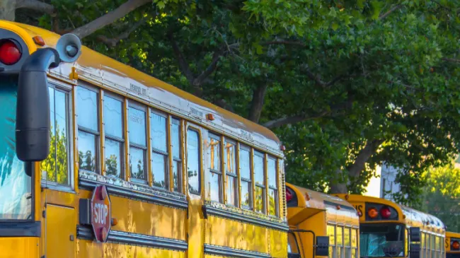 school busses